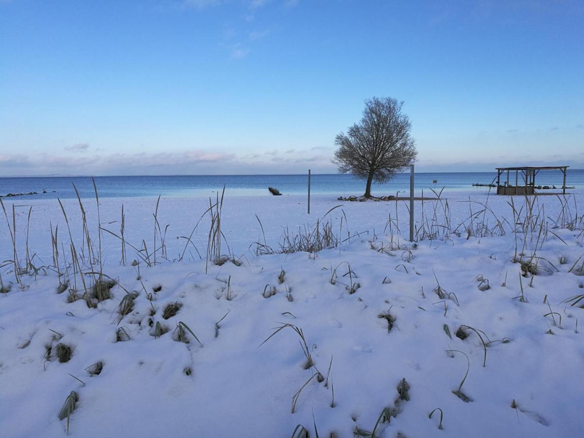 Fewo "Hafenblick" Ueckermünde Esterno foto
