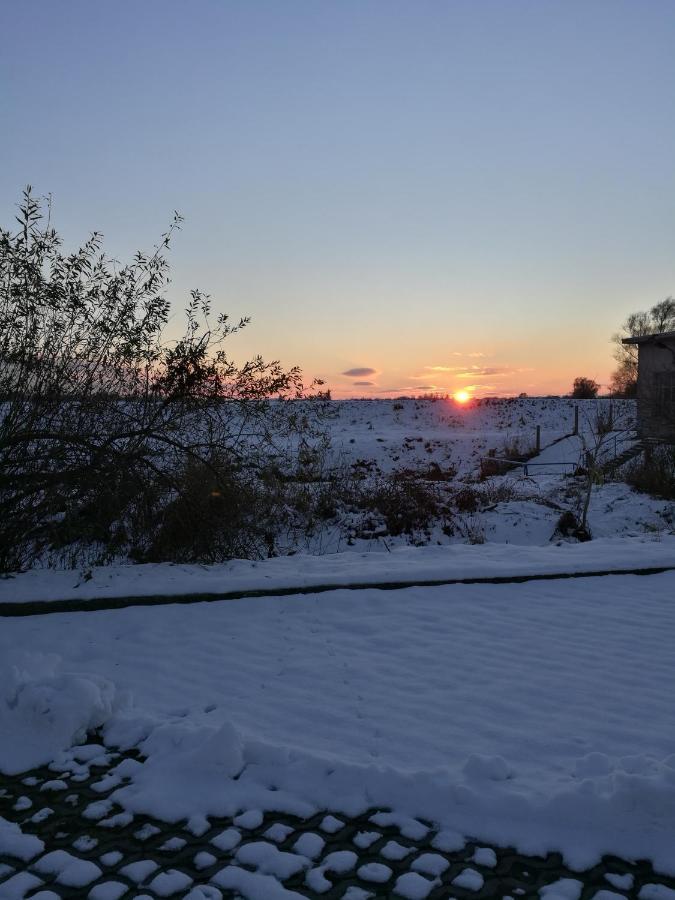 Fewo "Hafenblick" Ueckermünde Esterno foto