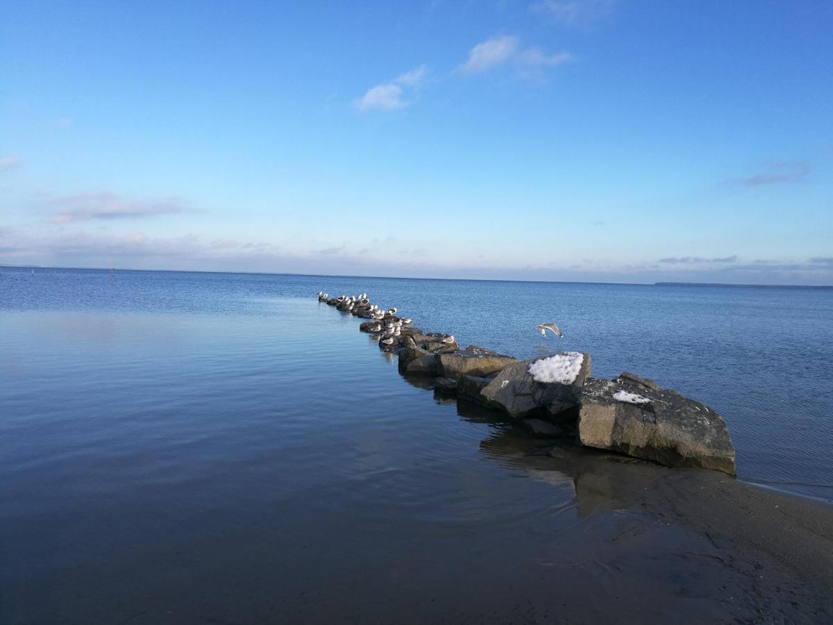 Fewo "Hafenblick" Ueckermünde Esterno foto